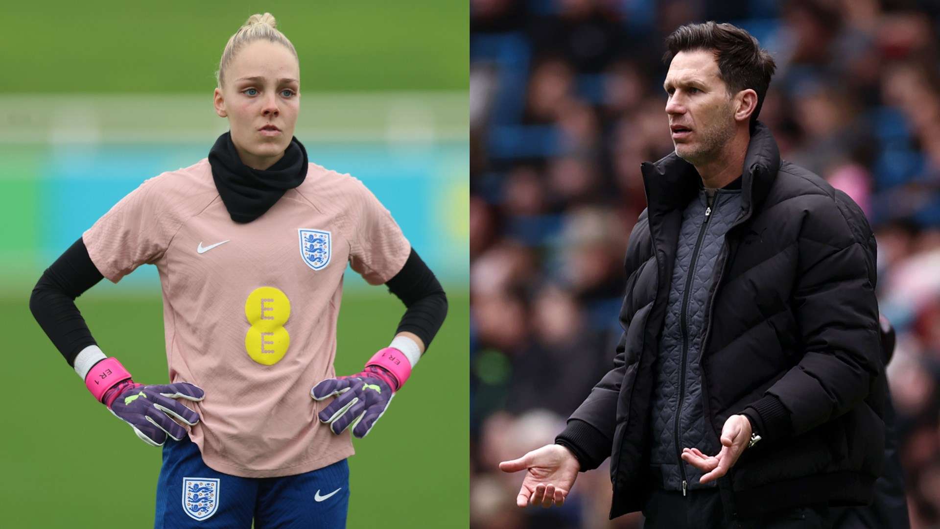 黄蜂队在北 黄蜂队在北