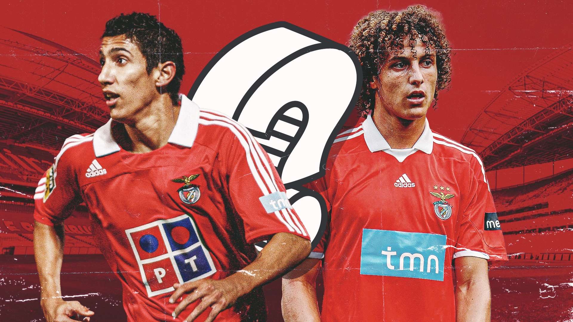 细致的市场 细致的市场