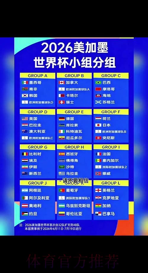 2026世界杯比分分析